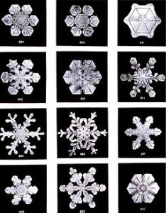 256px-SnowflakesWilsonBentley